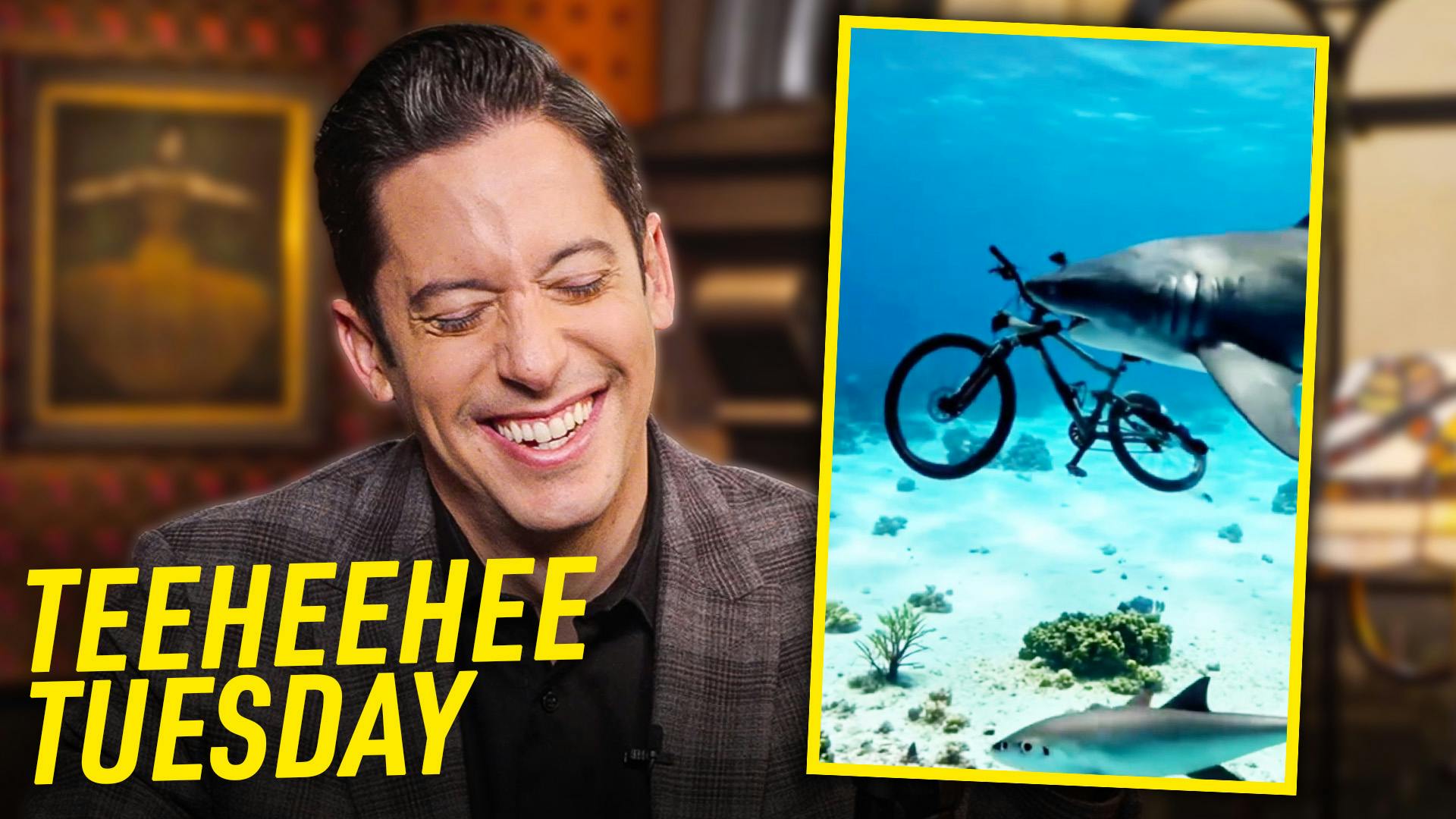 TeeHeeHee Tuesday: Great Black Shark? | Ep. 1859