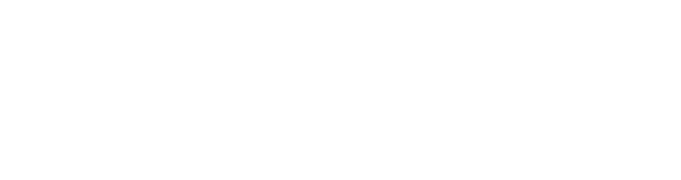 Election 2020 Election 2020